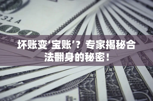 济南坏账变‘宝账’？专家揭秘合法翻身的秘密！