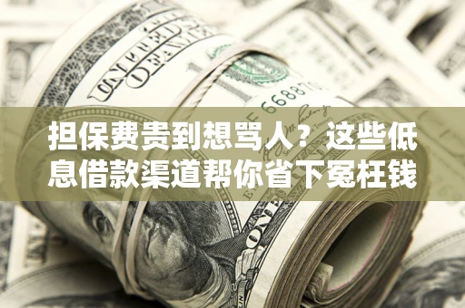 济南担保费贵到想骂人？这些低息借款渠道帮你省下冤枉钱