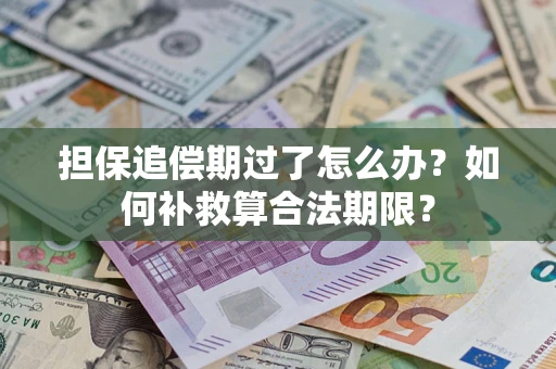 济南担保追偿期过了怎么办？如何补救算合法期限？