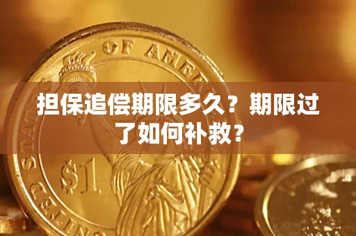 济南担保追偿期限多久？期限过了如何补救？