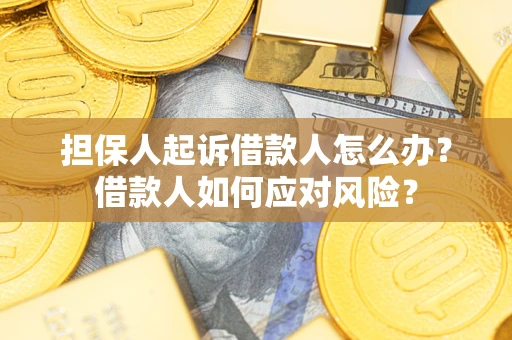 济南担保人起诉借款人怎么办？借款人如何应对风险？